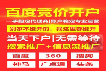 SEM推广案例：行业竞争分析